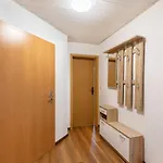 Ruhige Gartenwohnung In 아파트 드레스덴