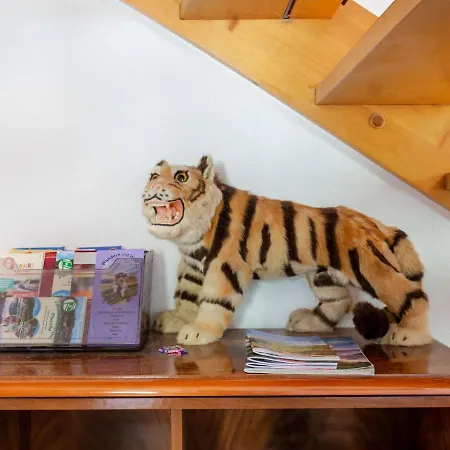 Ruhige Gartenwohnung In